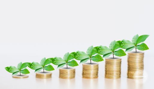 neomarca financiamento verde